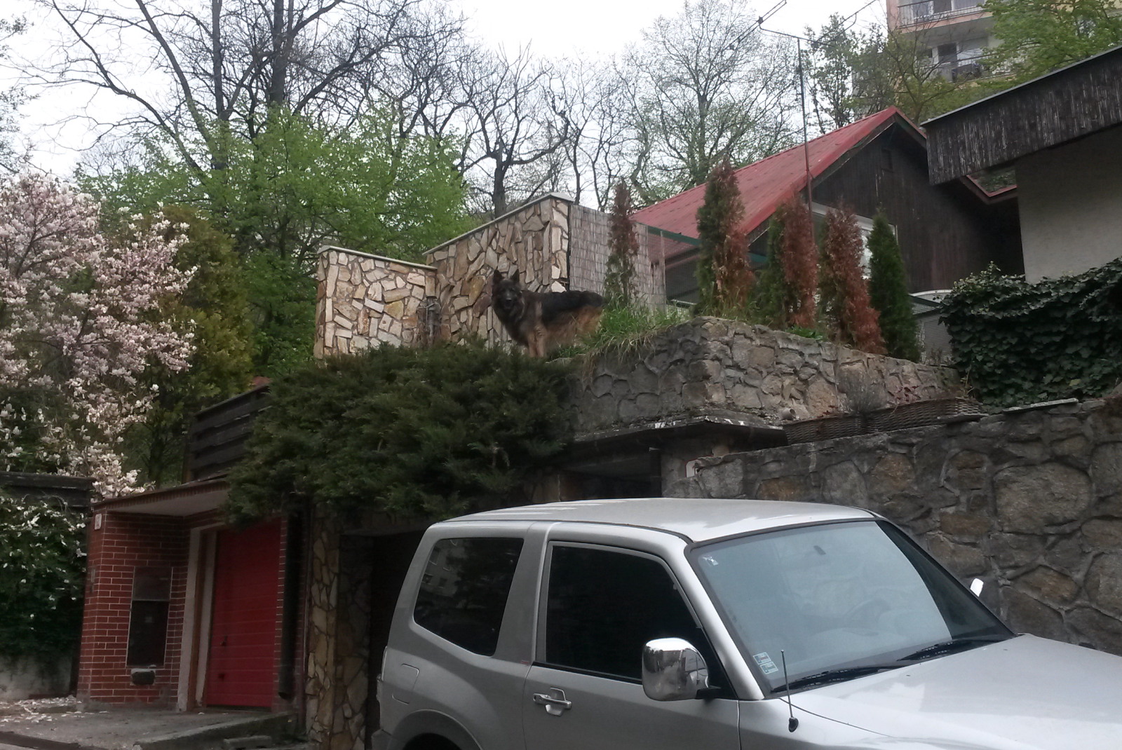 20140405_143517